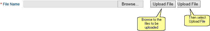 Screenshot showing an empty File Name field on the File Upload page. Next to it are a Browse button and an Upload File button.