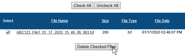 Screenshot of the File Upload table. The check box under the Select column for the Professional Multispecialty text file has been checked/enabled. The Delete Checked Files button is being selected.